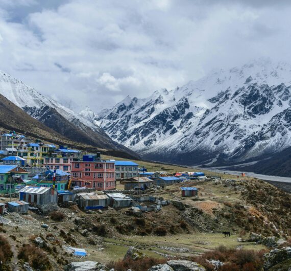 pexels-clickbyshanky-32501786