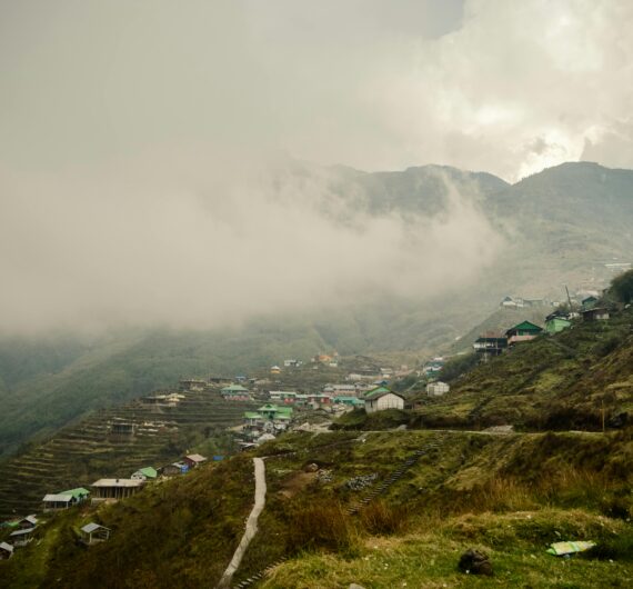 pexels-logalongwithme-6058267