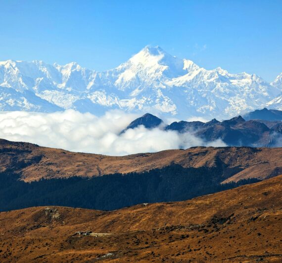 pexels-mr-king-433312985-15276684