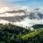 pexels-nandhukumar-14844302