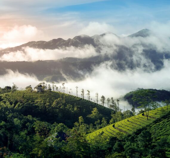 pexels-nandhukumar-14844302