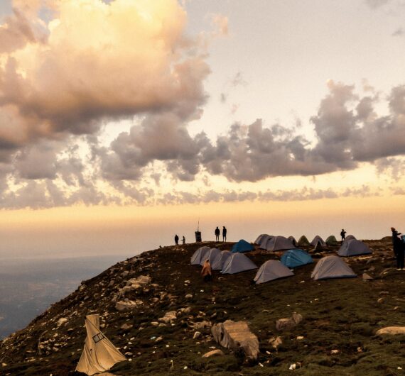 pexels-photowalabhaiya-33054063