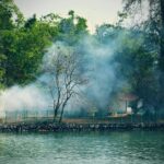 pexels-rajeshx8-980178