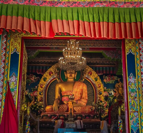 pexels-trishik-bose-166596160-31526554