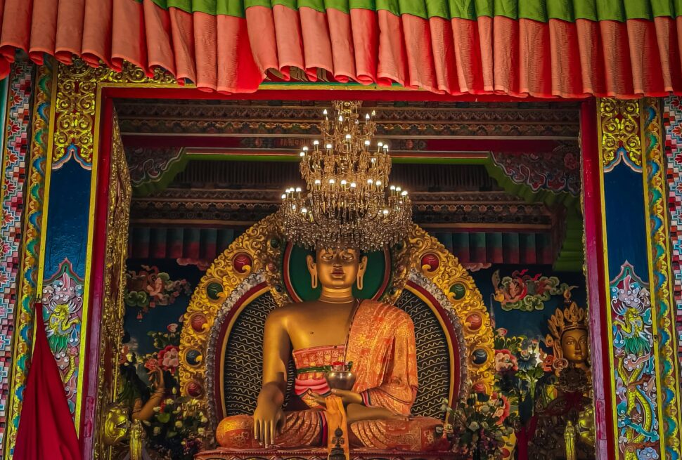 pexels-trishik-bose-166596160-31526554