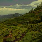 pexels-urtimud-89-76108288-32262506