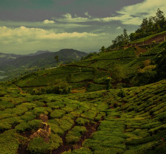 pexels-urtimud-89-76108288-32262506