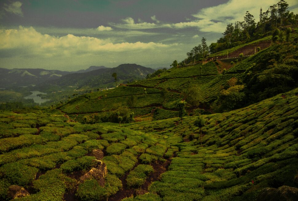 pexels-urtimud-89-76108288-32262506