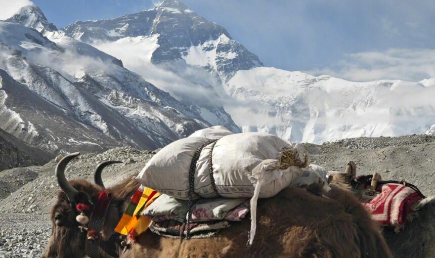 Everest Base Camp Trekking in Nepal