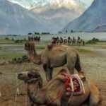 FB_IMG_1727280785173[1]