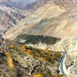 FB_IMG_1730073639020[1]