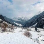 FB_IMG_1746359619442[1]