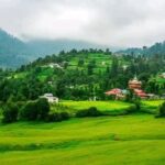 FB_IMG_1746498314730[1]