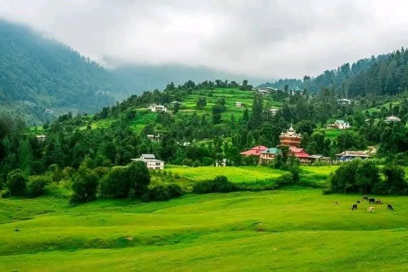 FB_IMG_1746498314730[1]