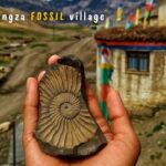 FB_IMG_1746765588843[1]