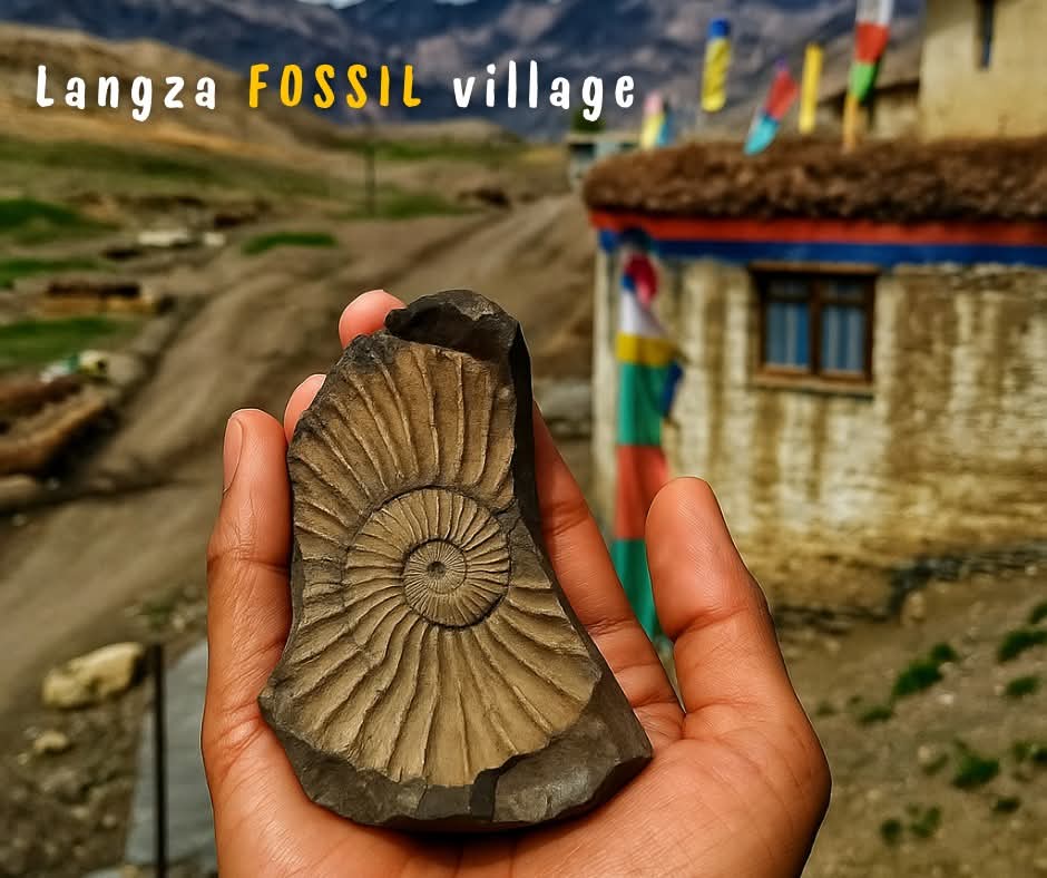 FB_IMG_1746765588843[1]