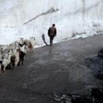 pexels-narasimhan-avpl-387362135-32913454