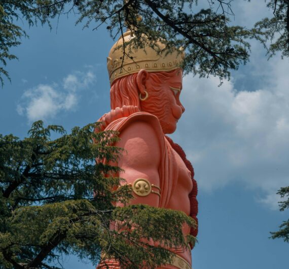 pexels-amanjot-singh-311045324-13545216