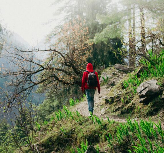 pexels-darryl-jaison-809425996-19211465