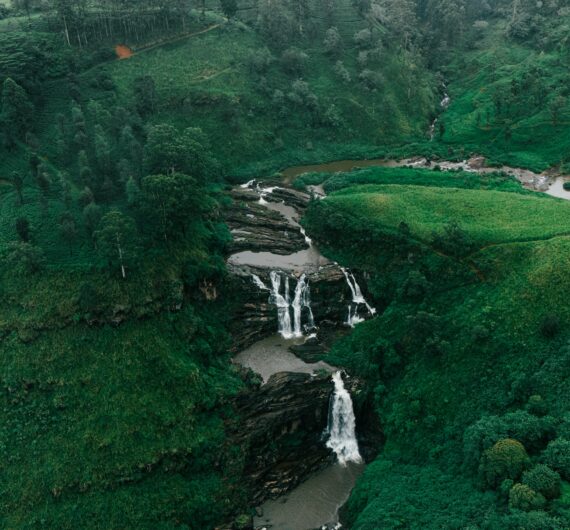 pexels-eslames1-32414014