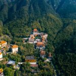 pexels-hujason-31294651