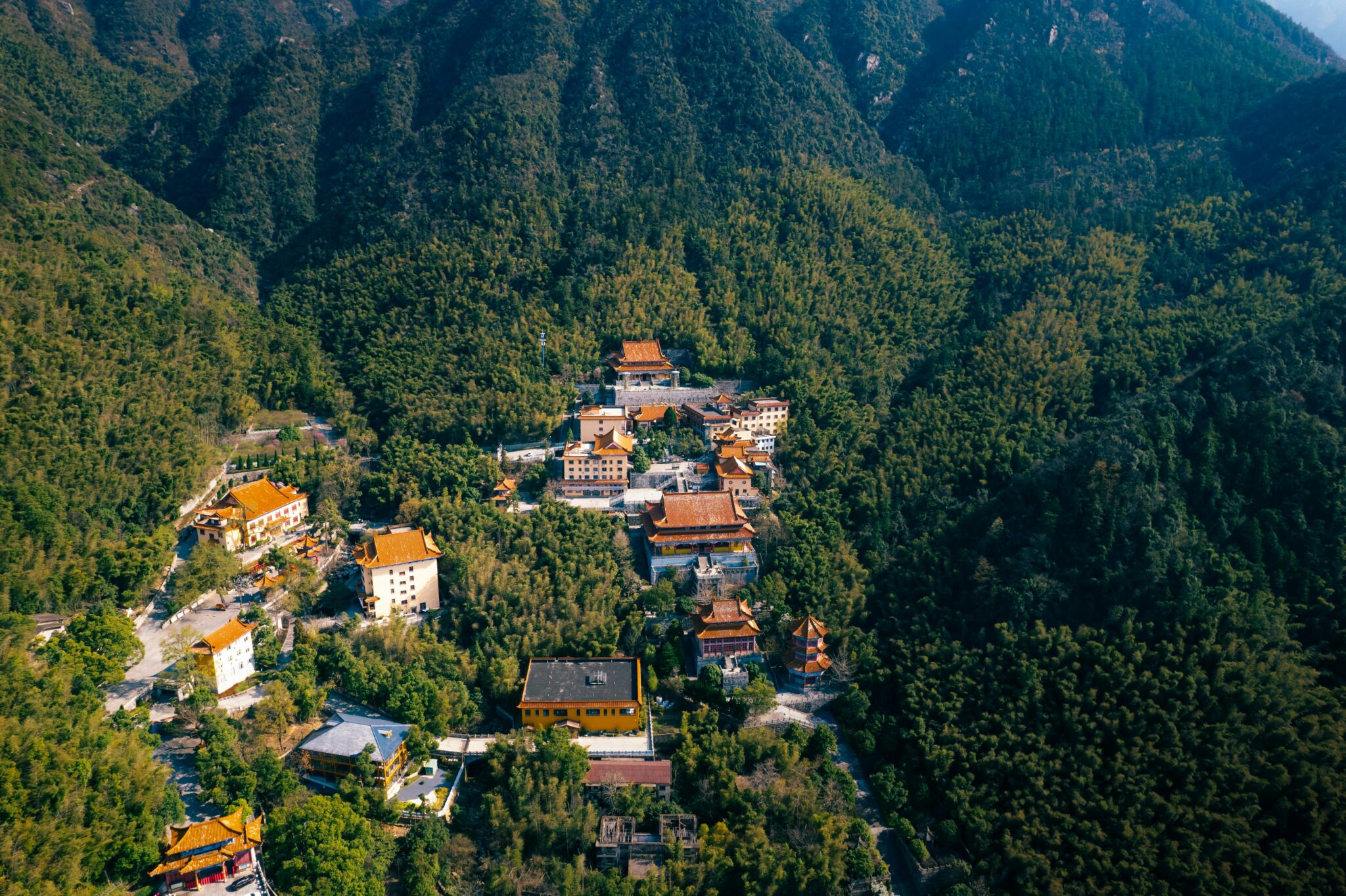 pexels-hujason-31294651