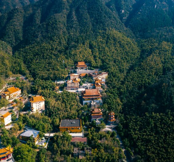 pexels-hujason-31294651