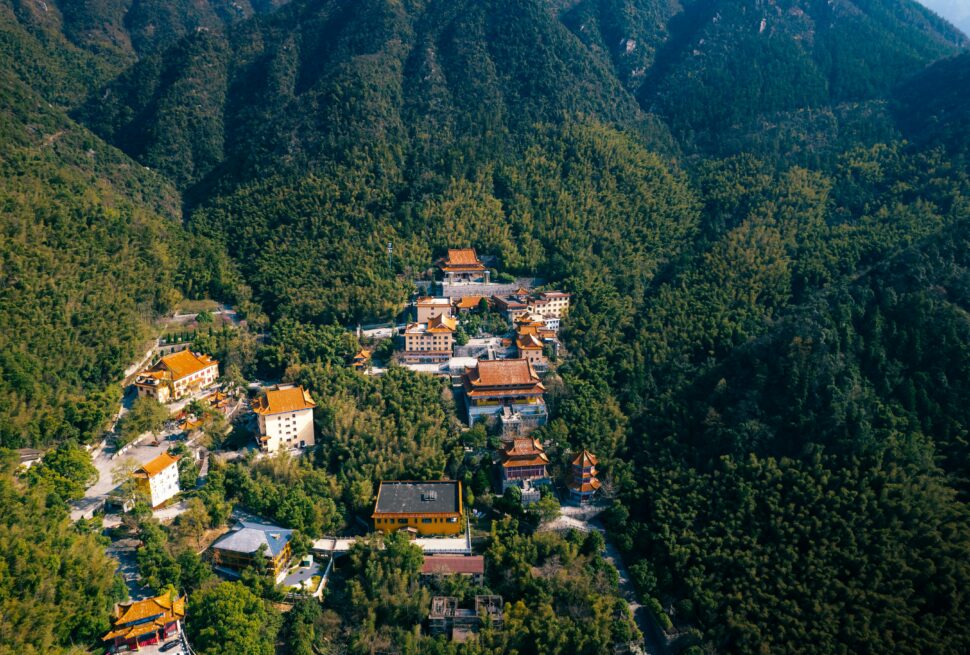 pexels-hujason-31294651