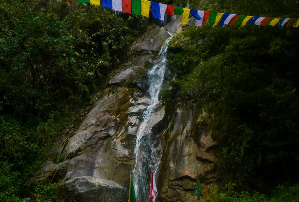 pexels-logalongwithme-6058129