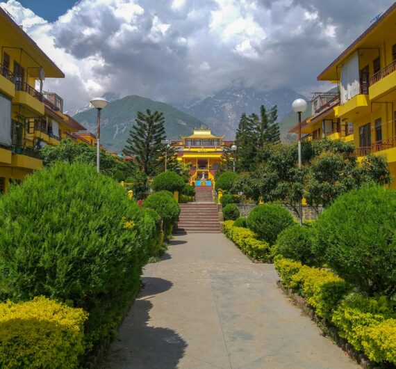 pexels-mohamed-regaieg-1193224322-29358714