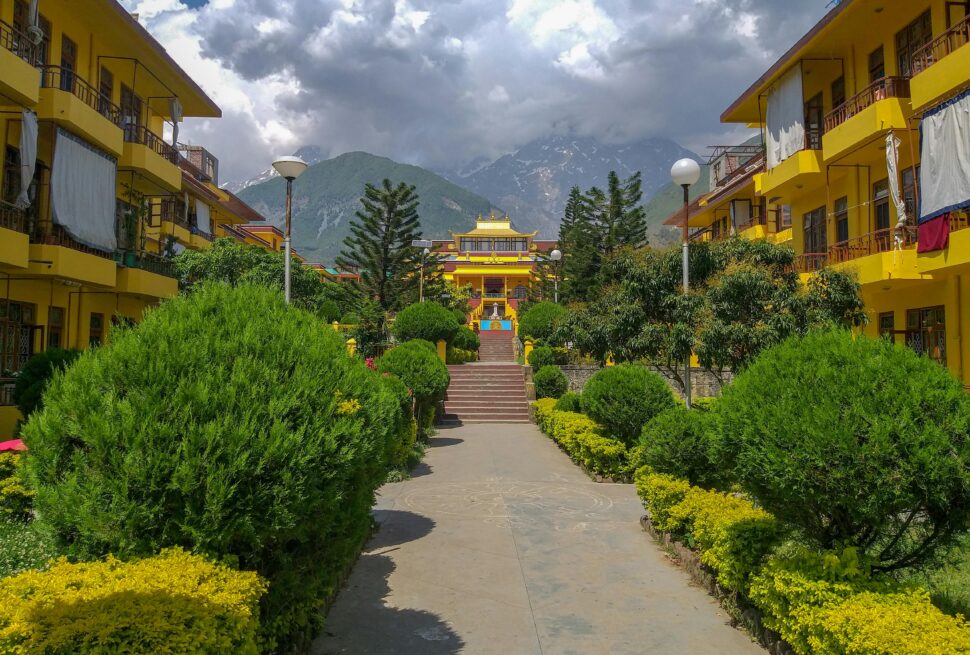 pexels-mohamed-regaieg-1193224322-29358714