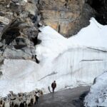 pexels-narasimhan-avpl-387362135-32913454