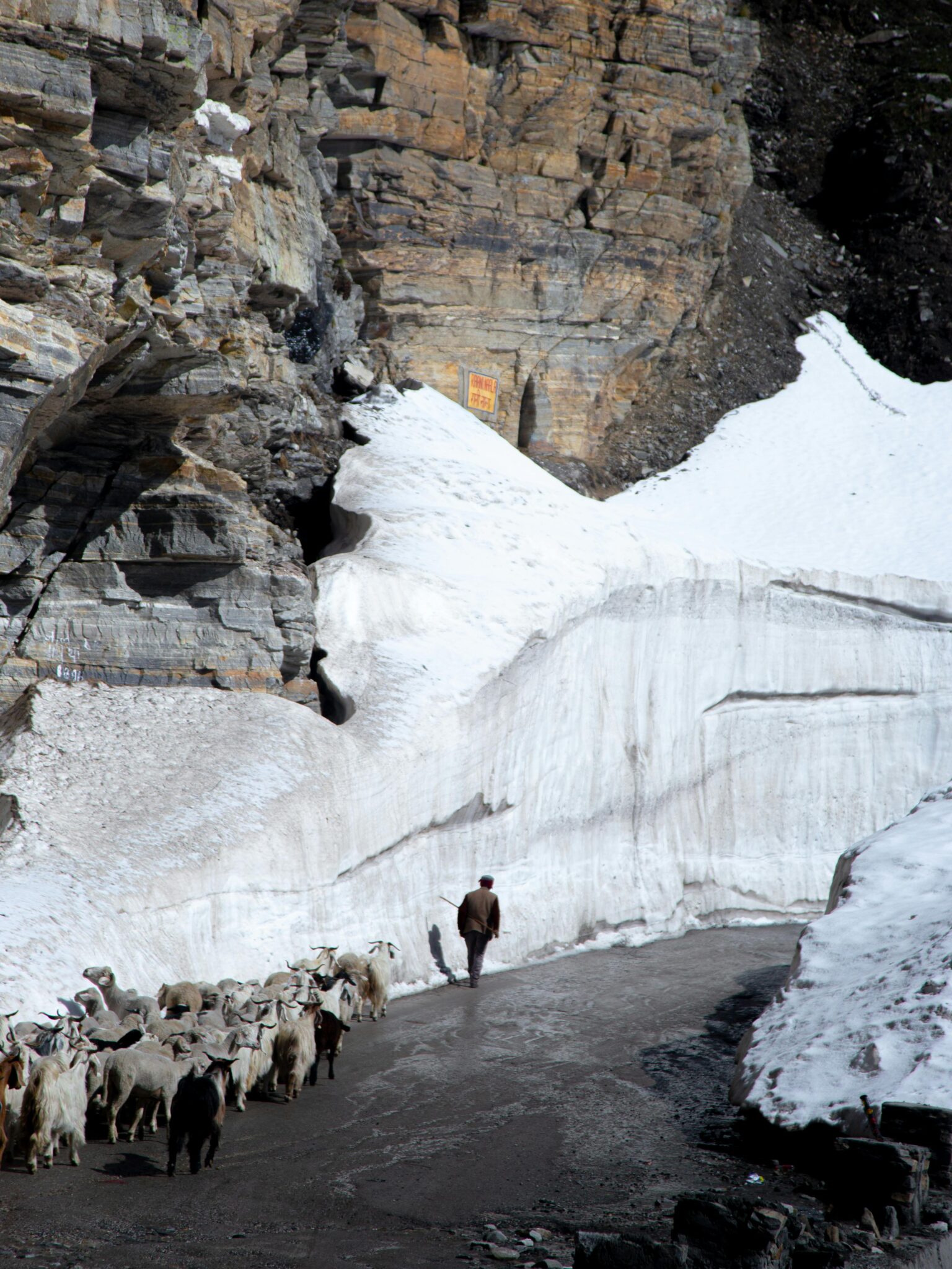 pexels-narasimhan-avpl-387362135-32913454