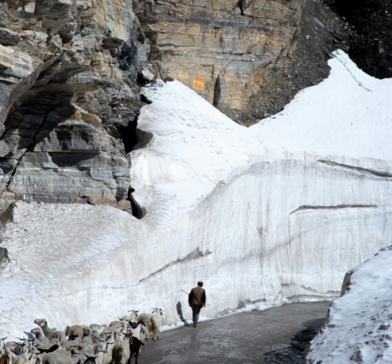 pexels-narasimhan-avpl-387362135-32913454