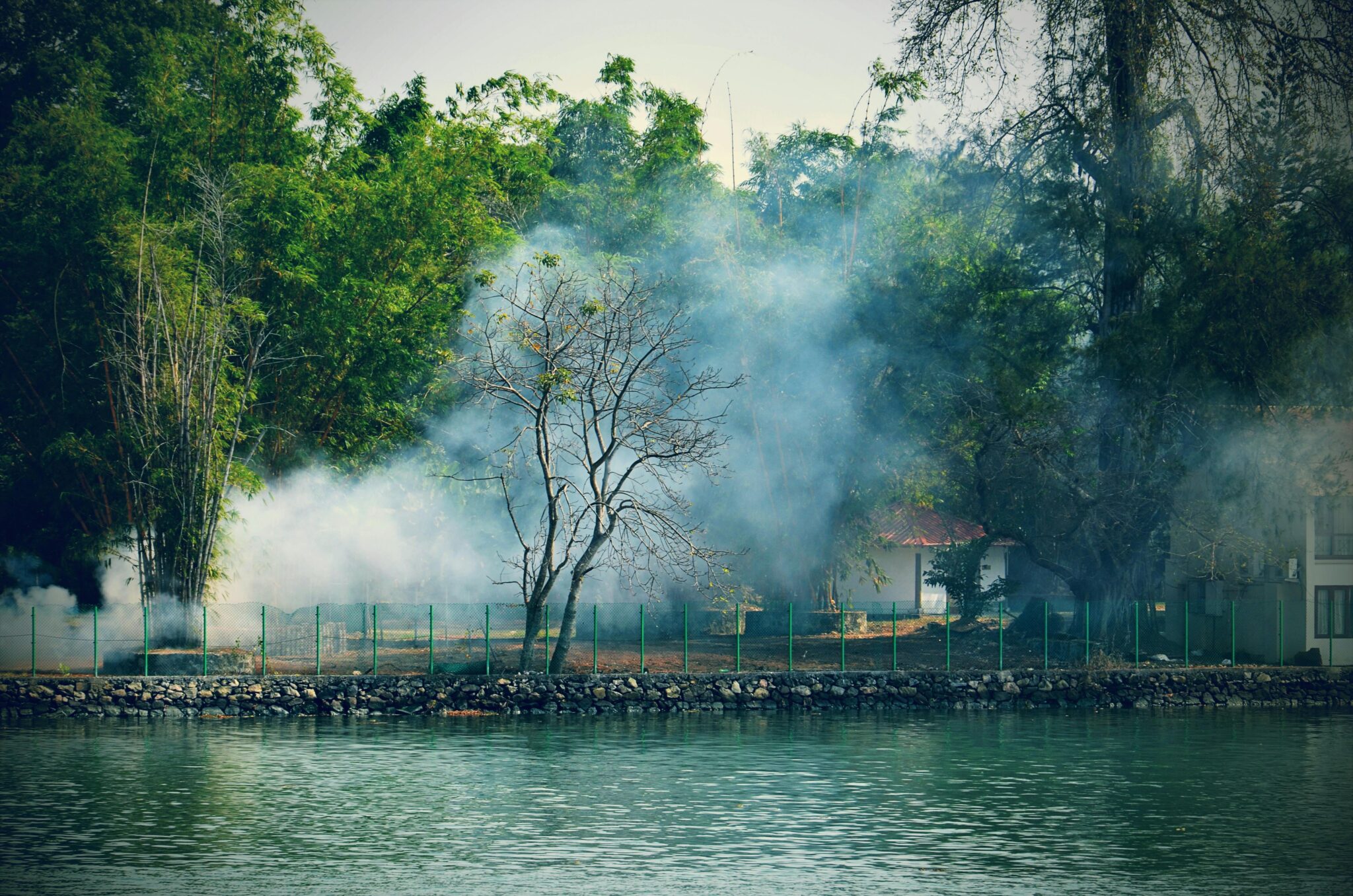 pexels-rajeshx8-980178