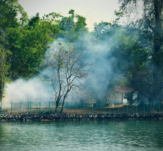 pexels-rajeshx8-980178