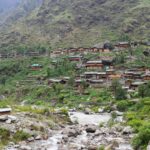 pexels-ranjeet-kumar-singh-20197144-12532338