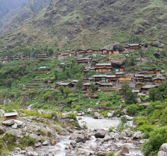 pexels-ranjeet-kumar-singh-20197144-12532338