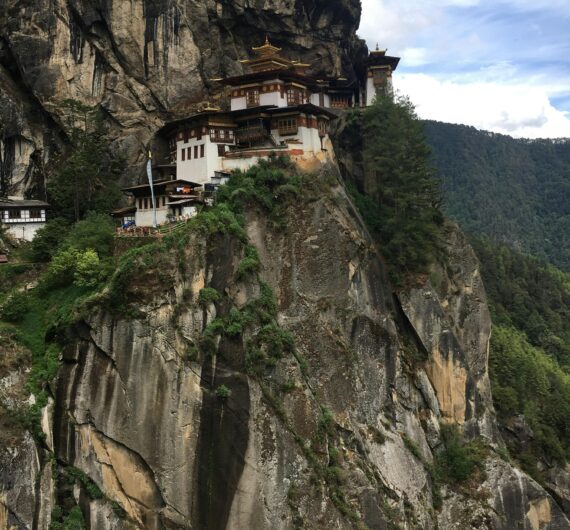 pexels-roseann-680843305-17898806