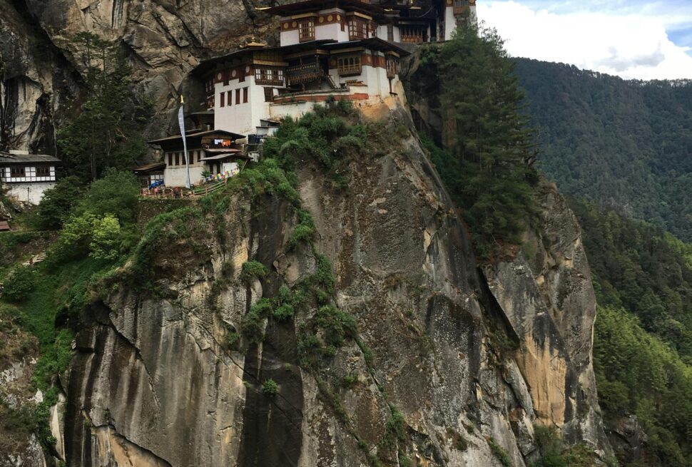 pexels-roseann-680843305-17898806