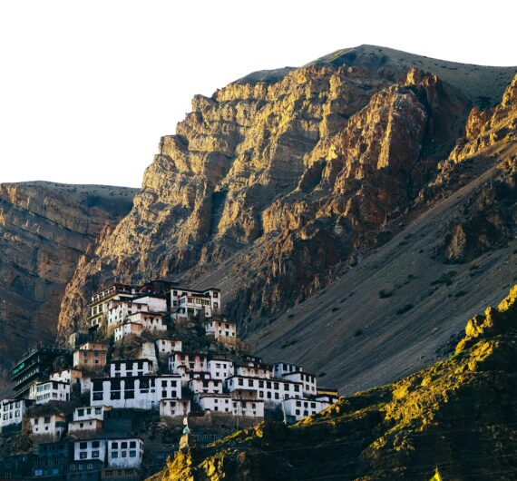 pexels-sakshi-patwa-3335937-5324312