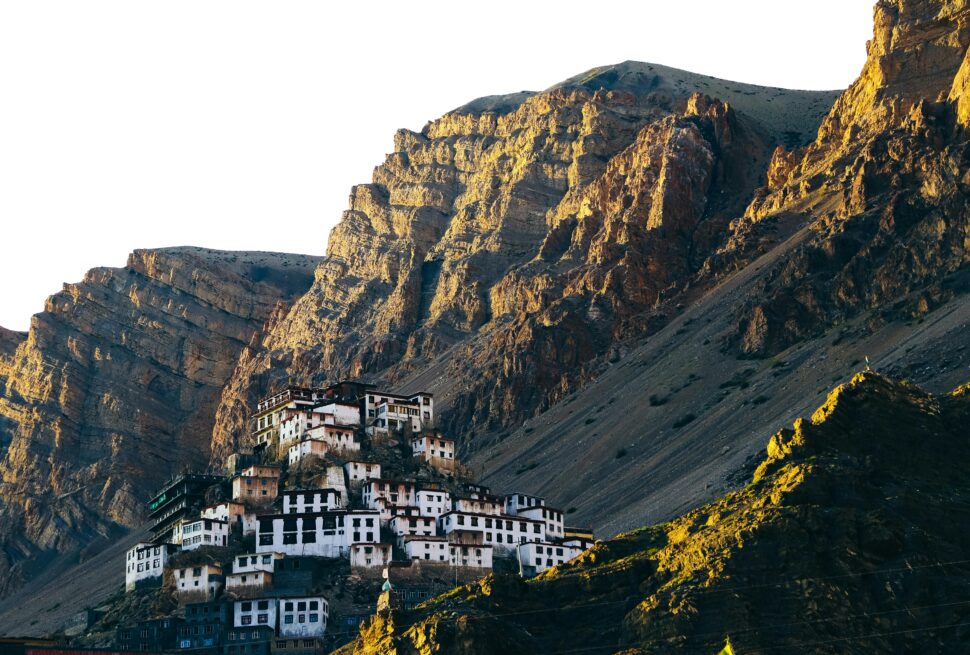 pexels-sakshi-patwa-3335937-5324312