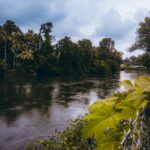 pexels-shijo-mathew-2152199938-33425644