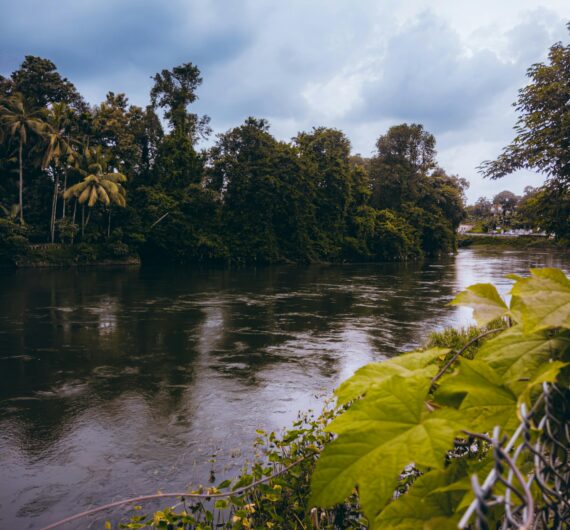 pexels-shijo-mathew-2152199938-33425644