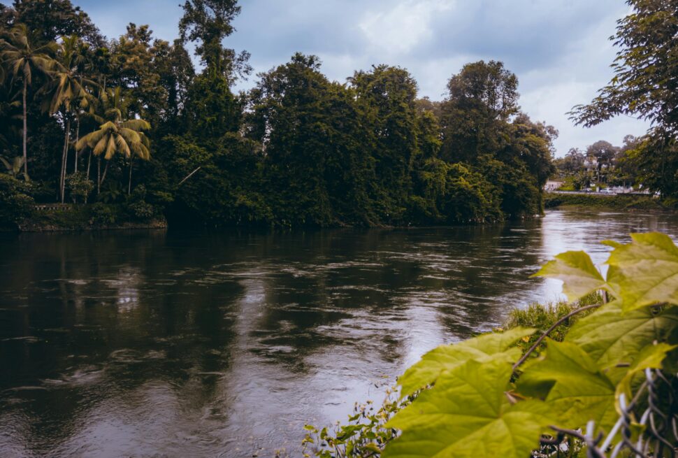 pexels-shijo-mathew-2152199938-33425644