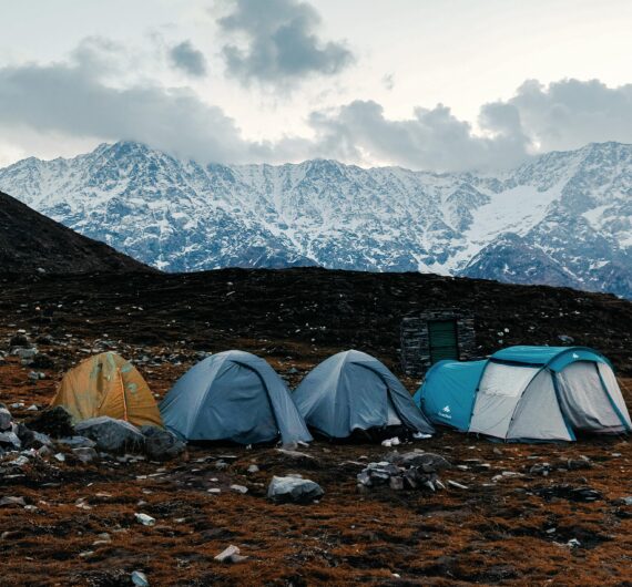 pexels-photowalabhaiya-33054065