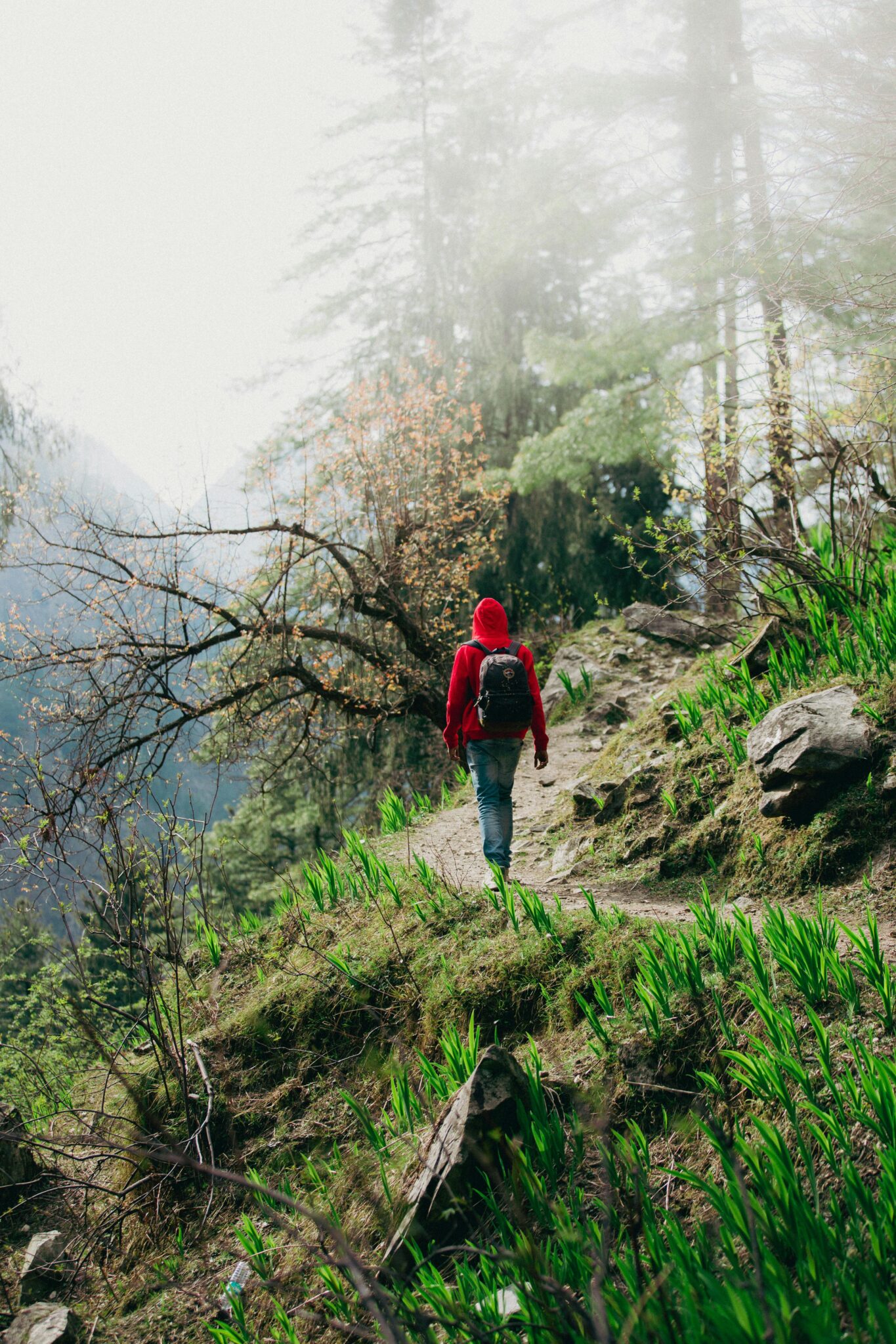 pexels-darryl-jaison-809425996-19211465 (2)