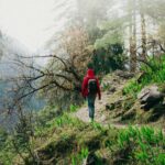 pexels-darryl-jaison-809425996-19211465 (2)