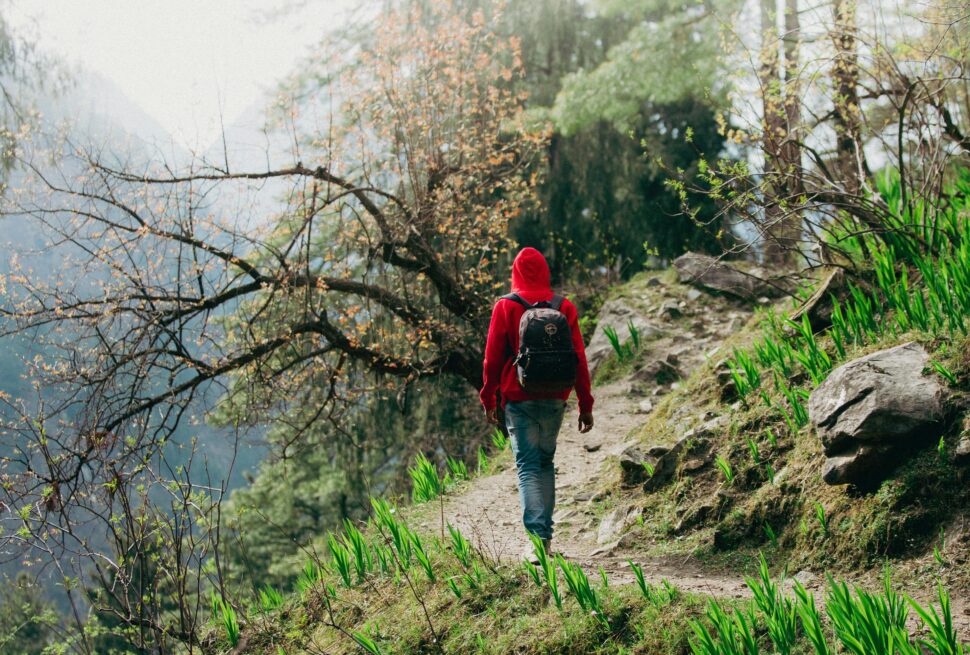 pexels-darryl-jaison-809425996-19211465 (2)