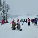 pexels-denis-vigas-2005936-30501469